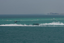 COX_07SF1393