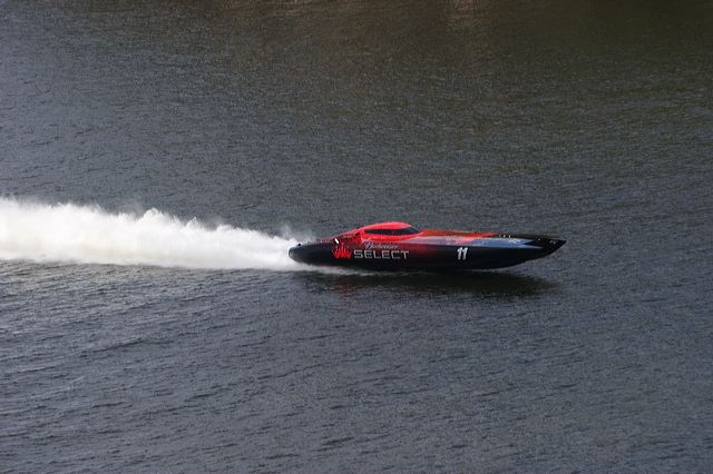 cox_07ozark422.jpg